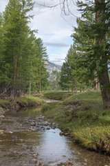 Obraz premium Nature, travel, recreation, river, mountains, wild animals, Russia