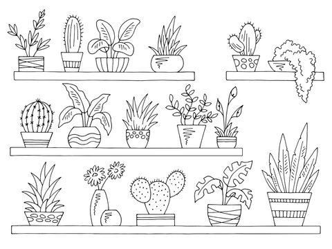 Shelves Set Graphic Black White Isolated Plant Pot Sketch Illustration Vector