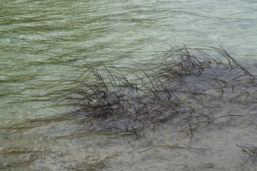 sanfte Wellen in einem klarren See mit kargen Resten von Wasserpflanzen