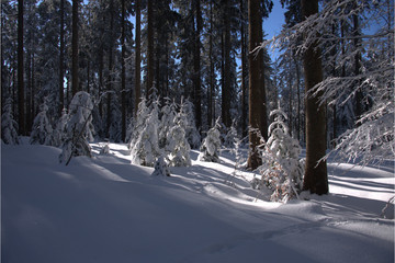 Schneereich im M&auml;rz