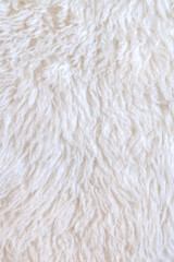 white wool sheep hair texture Natural animal fur background