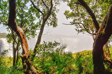 Fototapeta premium Victoriafälle sind ein Wasserfall nahe der Städte Victoria Falls in Simbabwe und Livingstone in Sambia Afrika