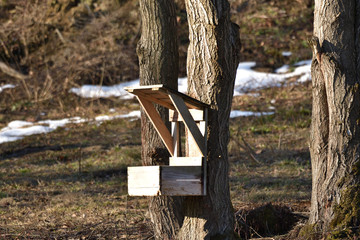 fodder rack for deer with food for animal in forest