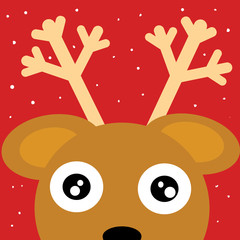 animal portrait vector