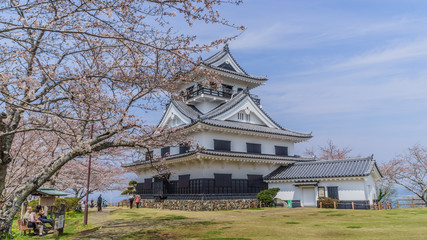Naklejka premium 春の館山城の天守の風景