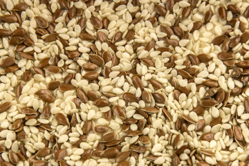 texture of raw sesame seeds