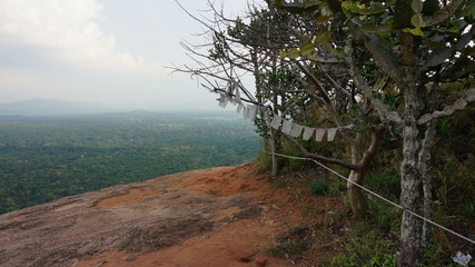 View from an outlook in central sri lanka to the countryside, with buddhist trees standing on the rock