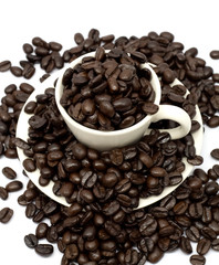 Coffee beans on white background