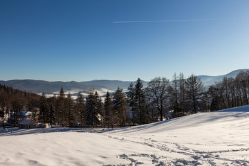 Fototapeta na wymiar Winter panorama landscape with forest, trees covered snow and sunrise. winterly morning of a new day. winter landscape with sunset, panoramic view