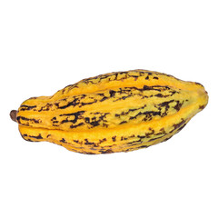 Cacao fruit, raw cacao beans, Cocoa pod isolated on white background