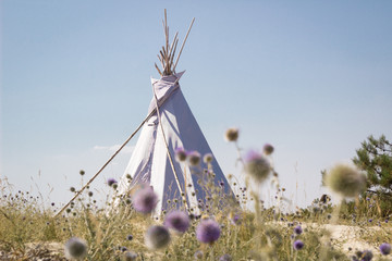 Summer vacation camping tent, indian wigwam hut, in dry wild nature prairie steppe © Vera Verano