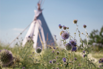 Summer vacation camping tent, wigwam hut, in dry wild nature prairie steppe desert © Vera Verano