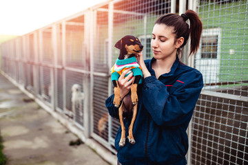 Young woman in dog shelter.