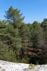 Mont blanc hill in Fontainebleau forest