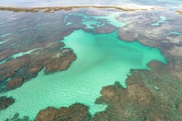 Vacation on deserted beach with natural pools of in Brazil. São Miguel dos Milagres, Alagoas, Brazil. Fantastic landscape. Great beach scenery. Paradise beach. Brazillian Caribbean.