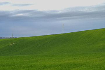 Fototapeta na wymiar green field and grey sky,spring,landscape,hill,countryside,cloud,agriculture,electric,