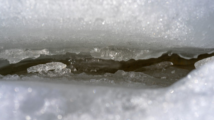 spring landscapes in the forest and on the river