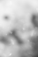 blurred background black and white. blur wallpaper with light dots - Bilder