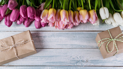 Multicolored tulips and gifts on a light horizontal wooden background. Top view. Banner