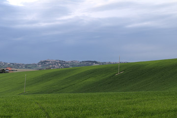 green field and grey sky,spring,hill,agriculture,rural,view,italy,cereals,crop,countryside