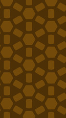 Ornate geometric pattern and two-tone abstract background