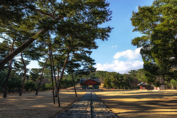 taereung royal tomb and hongsalmun