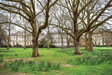 Beautiful Green Park and floral arrangements in front of Buckingham Palace in London.