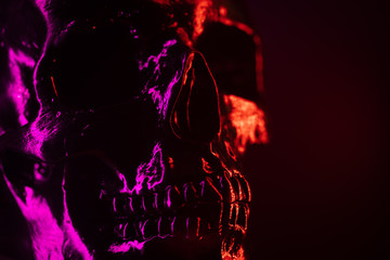 Ancient human skull head close-up. Neon pink and red light. Spooky and sinister. Glamour, disco, halloween concept