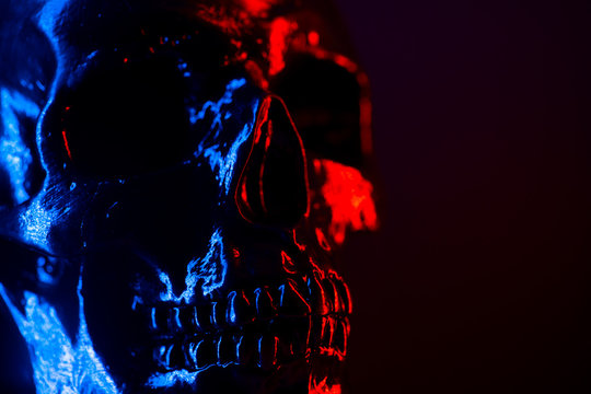Ancient human skull head close-up. Neon blue and red light. Spooky and sinister. Glamour, disco, halloween concept.