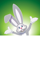 Cute gray Easter Bunny with white blank signboard isolated on a green background,vector illustration for holiday greeting