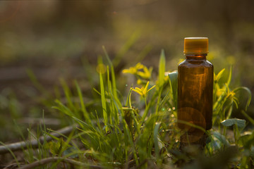 Bach - floral therapy. Alternative medicine.