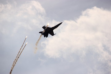 Flugzeug show berlin ILA © TIGERRAW