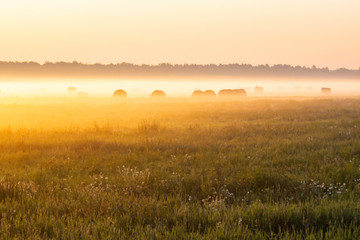 Misty field with grass, wildflowers and bales of hay illuminated by the rising sun