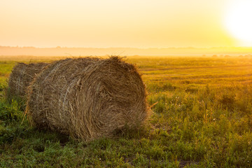 Bales of hay in the misty field illuminated by the rising sun