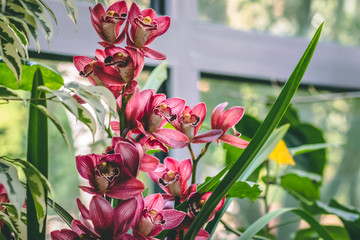 bouquet of pink flowers