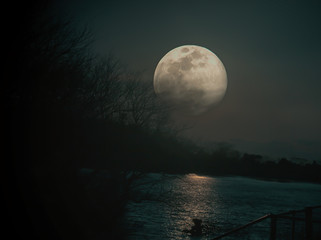 Fototapeta premium full moon over the sea