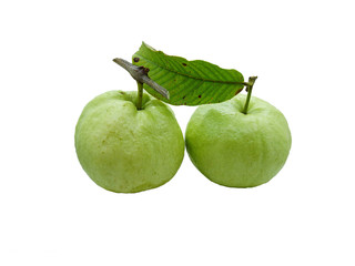 Fresh Green guava isolated on a white background 