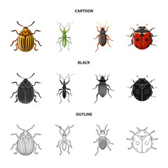 Vector illustration of insect and fly logo. Set of insect and element stock symbol for web.