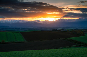 うねる丘の秋　美しい美瑛の丘の秋と十勝連邦