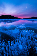 美しきアイスバブル　糠平湖の冬の朝