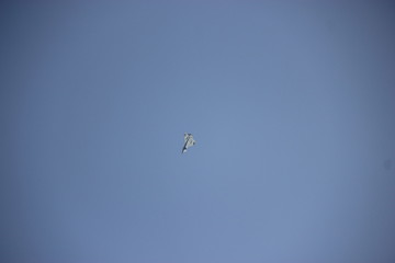 Flugzeug show berlin ILA