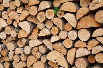Firewood stacked in woodpile, texture