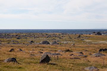 Deserted rocky coastline