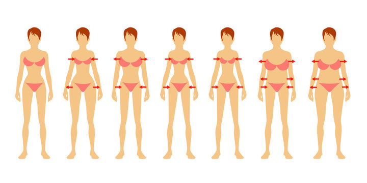  Seven fashion Woman figure type. Vector image