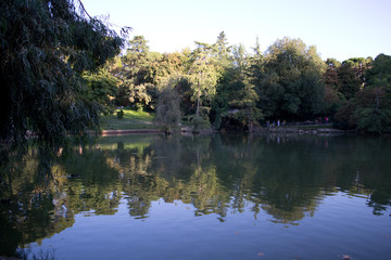 reflection of trees in lake