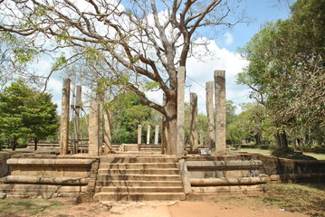 Fototapeta premium Guard stone in Anuradhapura in Sri Lanka