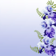 Watercolor illustration Flower iris on white background frame/ Greeting card