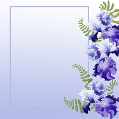 Watercolor illustration Flower iris on white background frame/ Greeting card