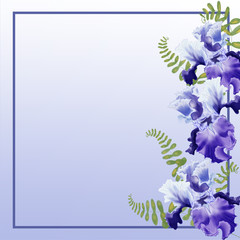 Watercolor illustration Flower iris on white background frame/ Greeting card