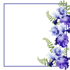 Watercolor illustration Flower iris on white background frame/ Greeting card